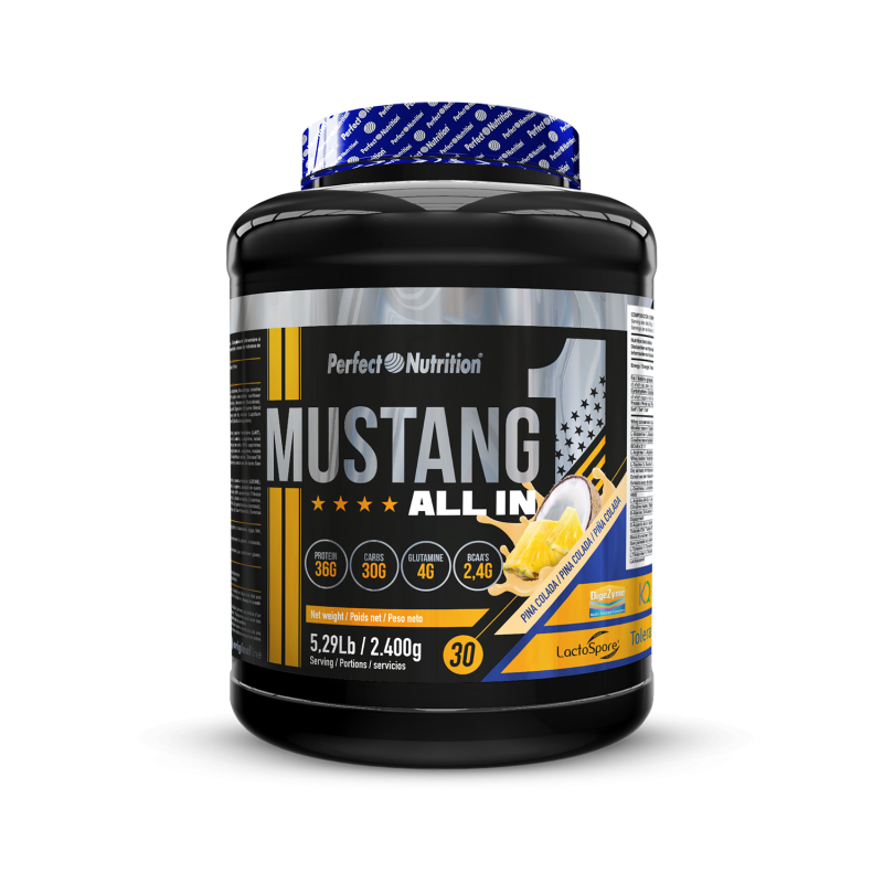 Mustang ALL IN 1 – 2.4 kg