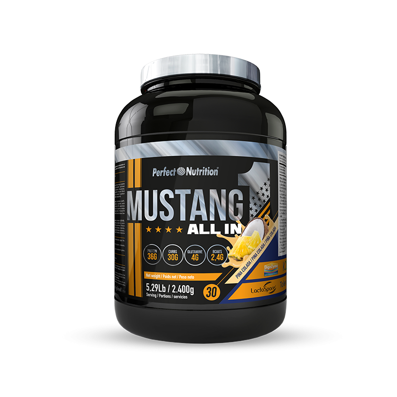 Mustang ALL IN 1 – 2.4 kg pin