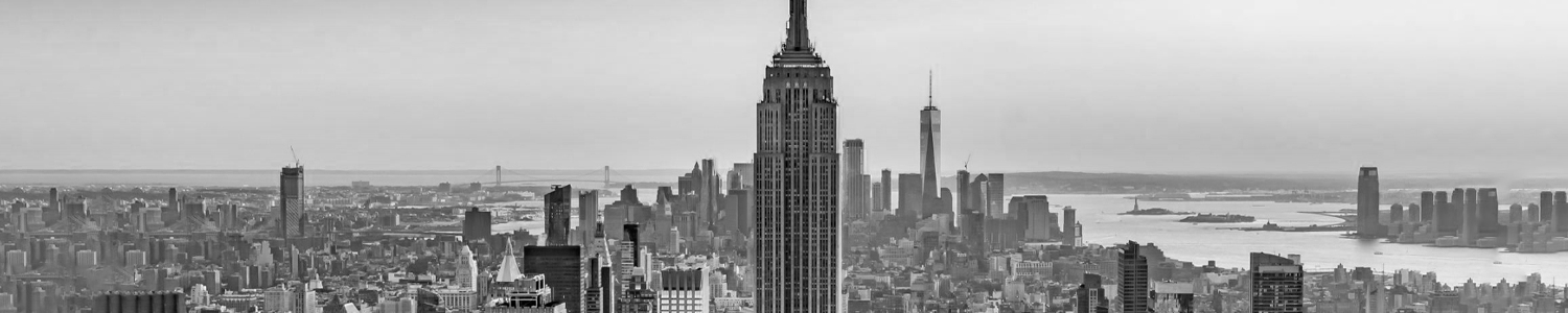 World Bar Collection - New York